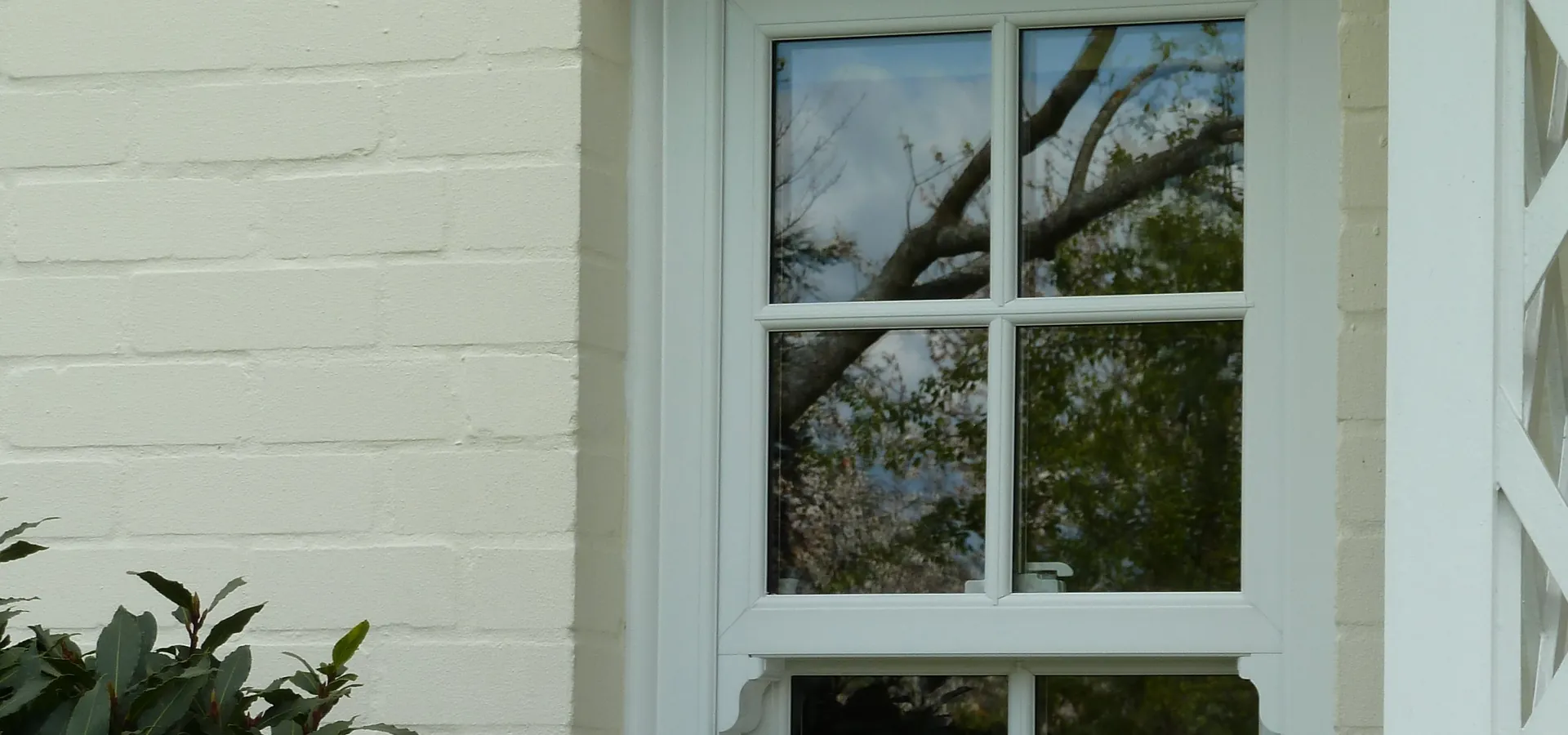 Sash Windows Dulwich